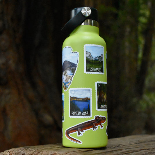 American Alligator Sticker