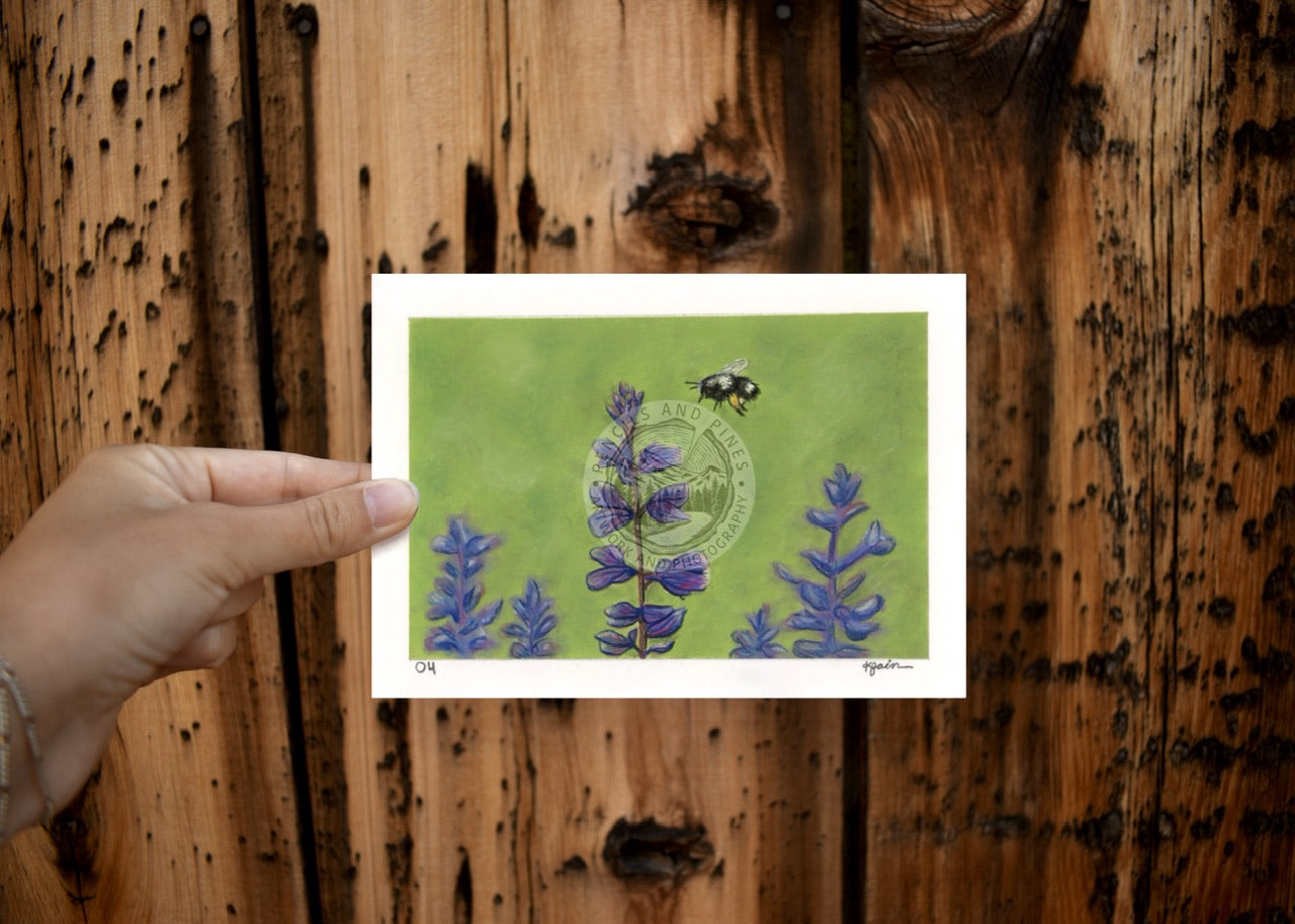 Landscape Postcard - 04