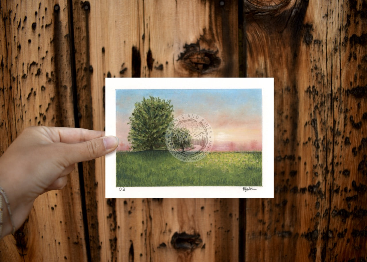 Landscape Postcard - 03