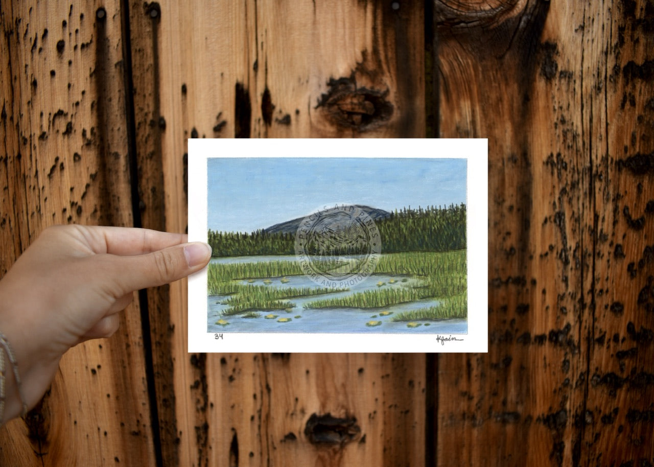 Landscape Postcard - 34