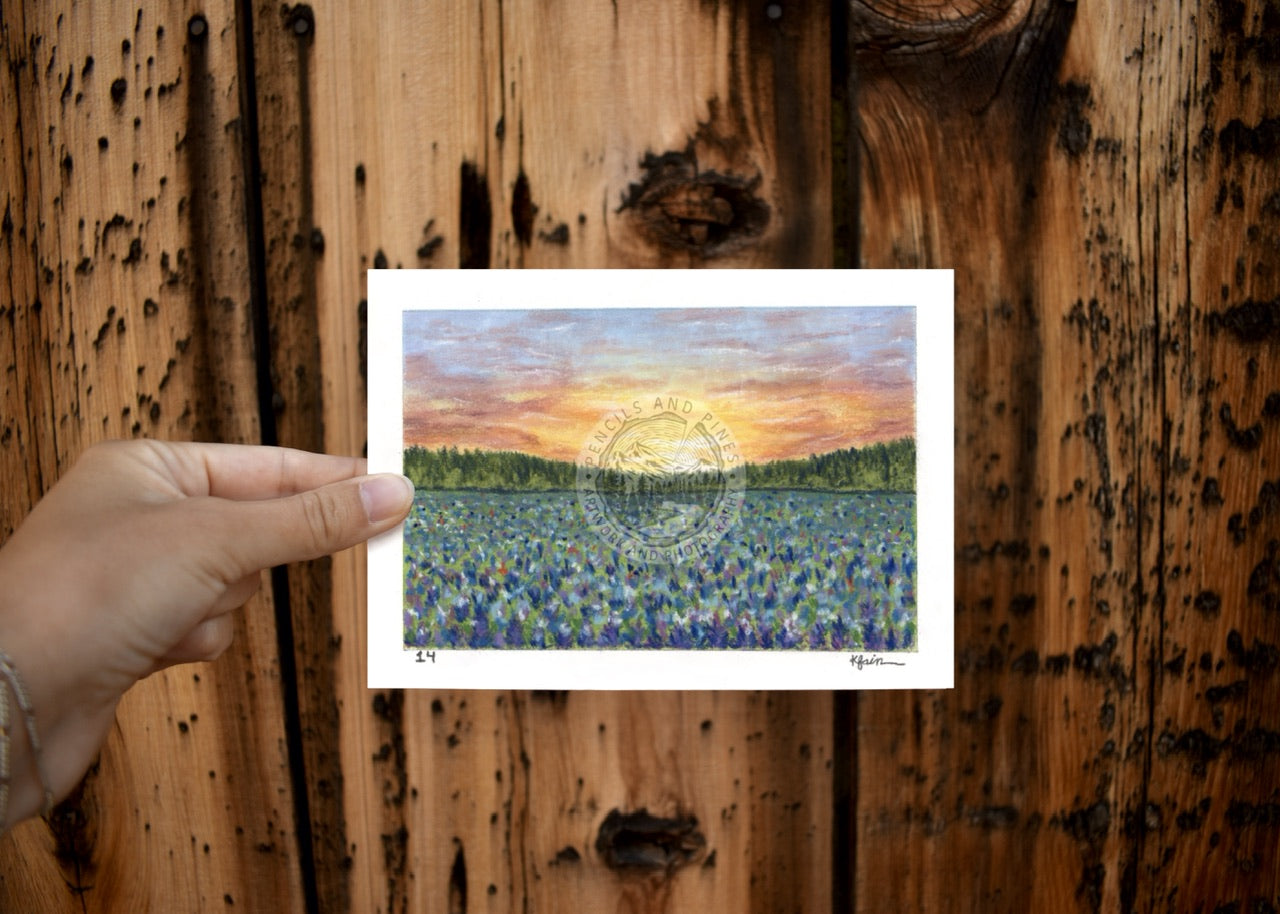 Landscape Postcard - 14