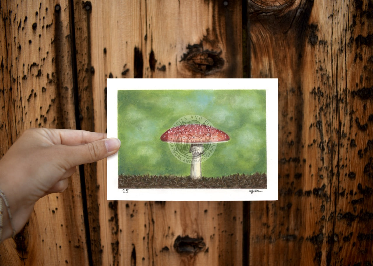 Landscape Postcard - 15