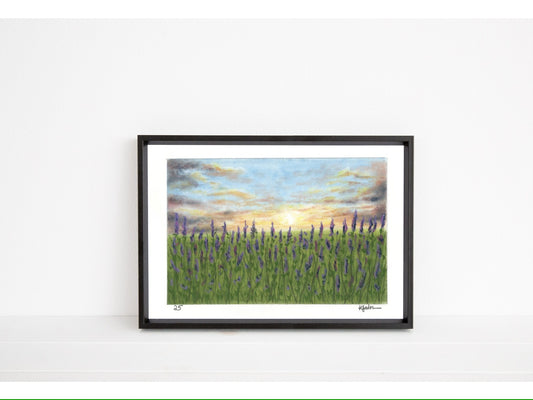 Landscape Postcard - 25