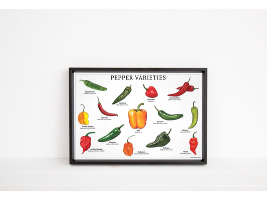 Pepper Varieties Chart - Open Edition Print