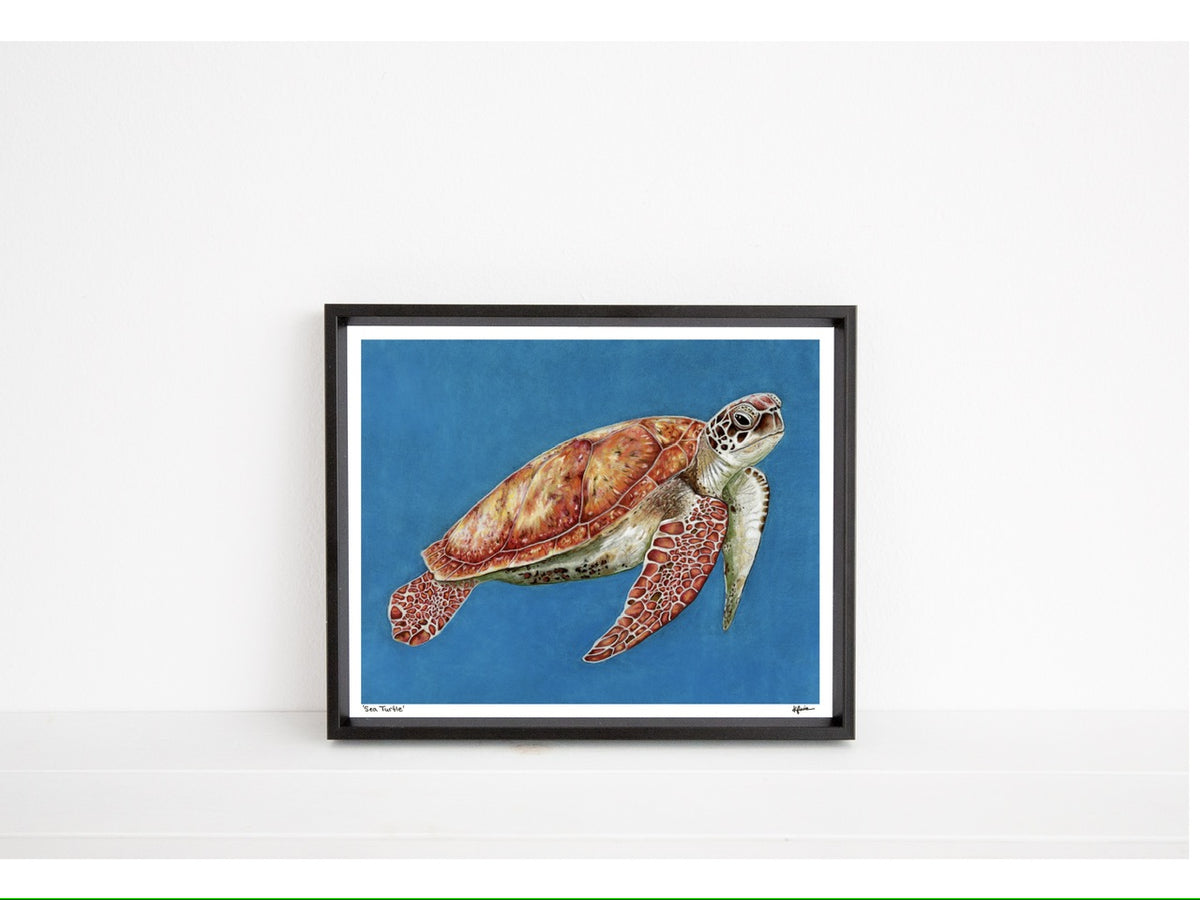Sea Turtle Original