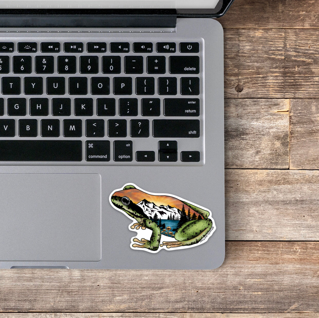 Pacific Tree Frog Sticker