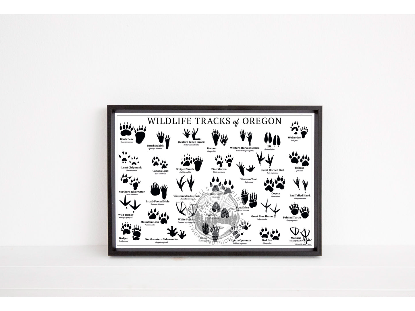 Wildlife Tracks of Oregon Chart - Open Edition Print