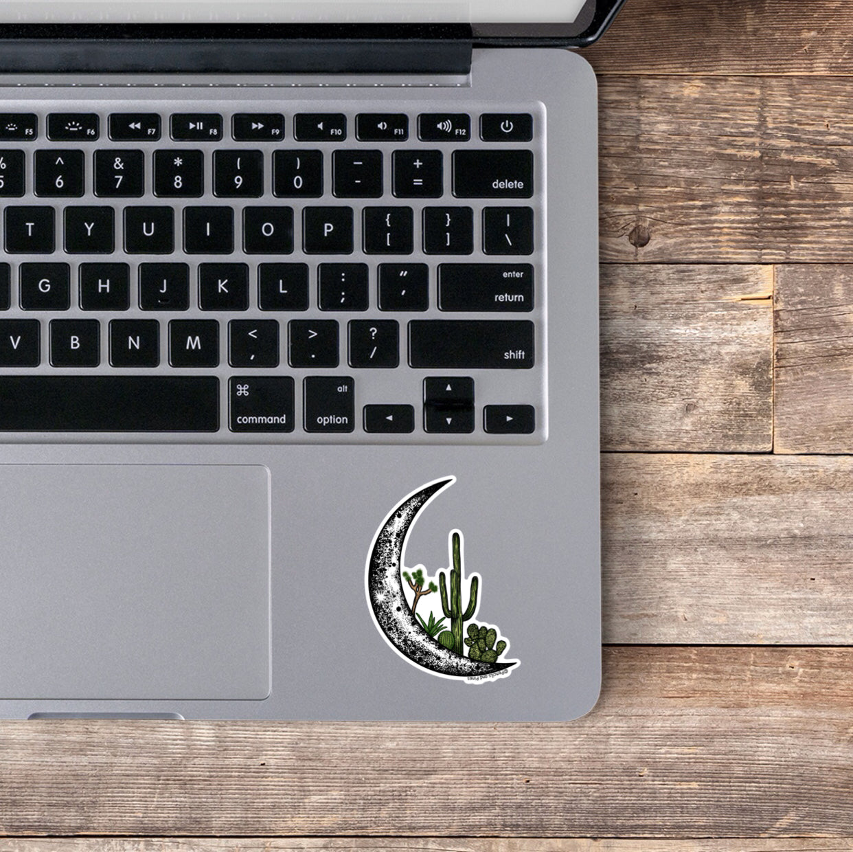 Cactus Moon Sticker