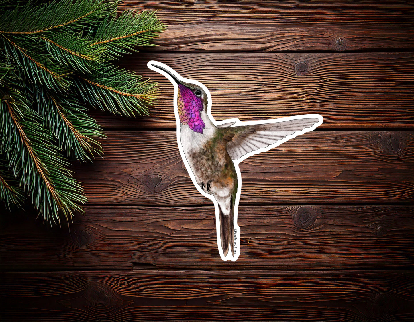 Lucifer Hummingbird Sticker