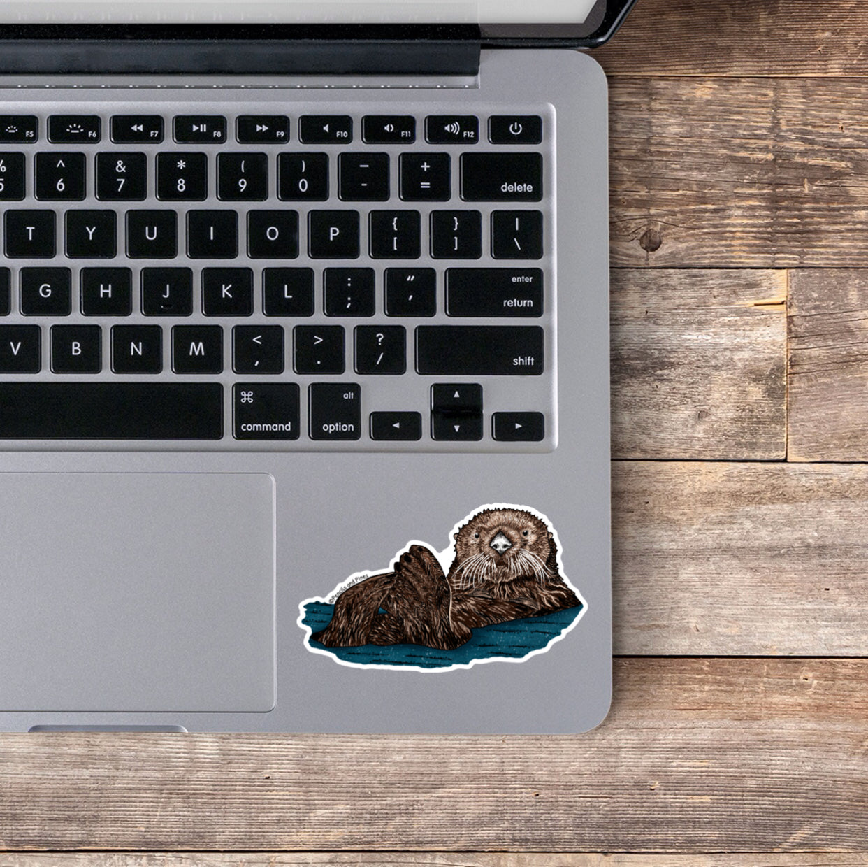 Sea Otter Sticker