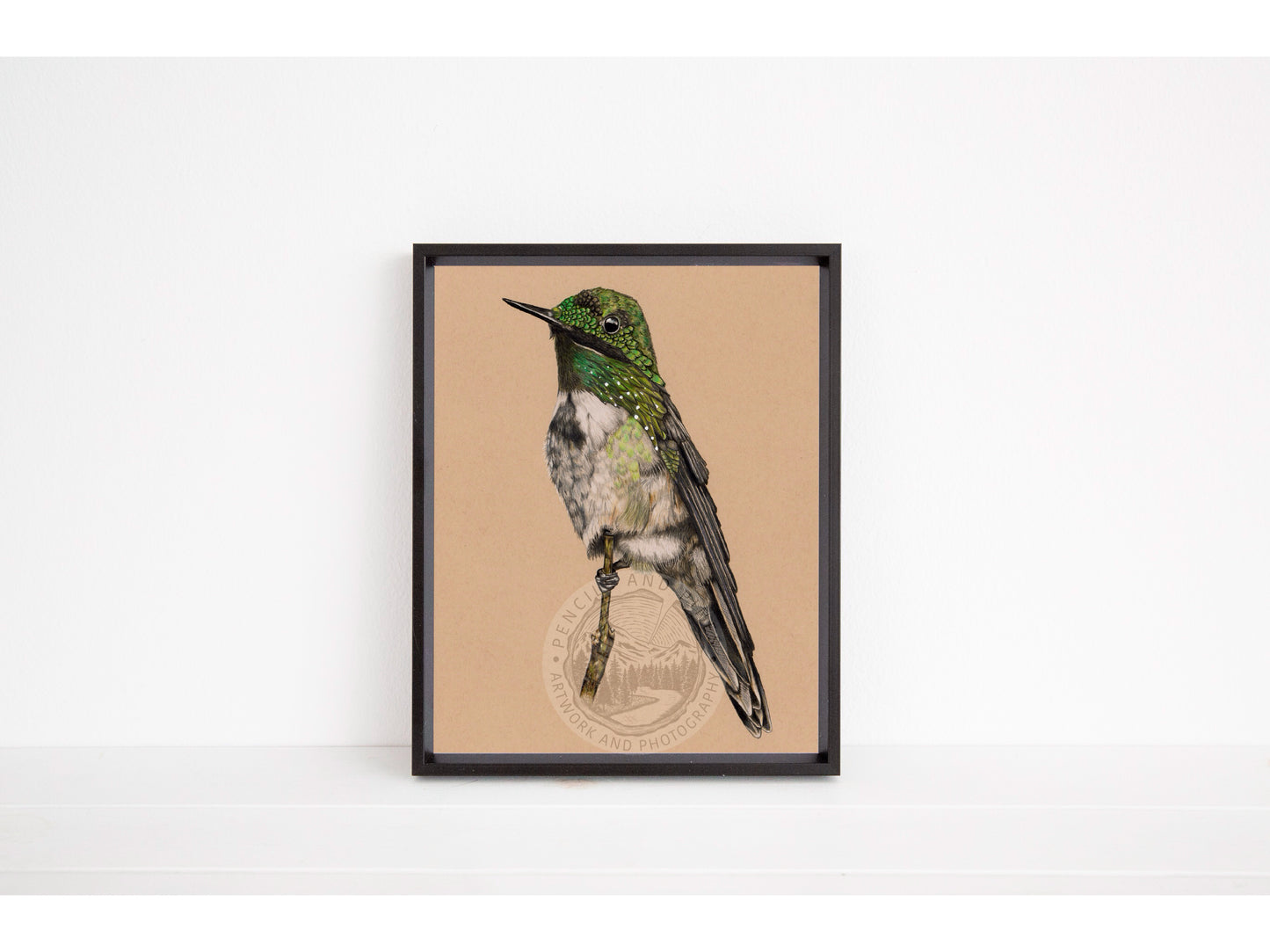 Festive Coquette Hummingbird Original