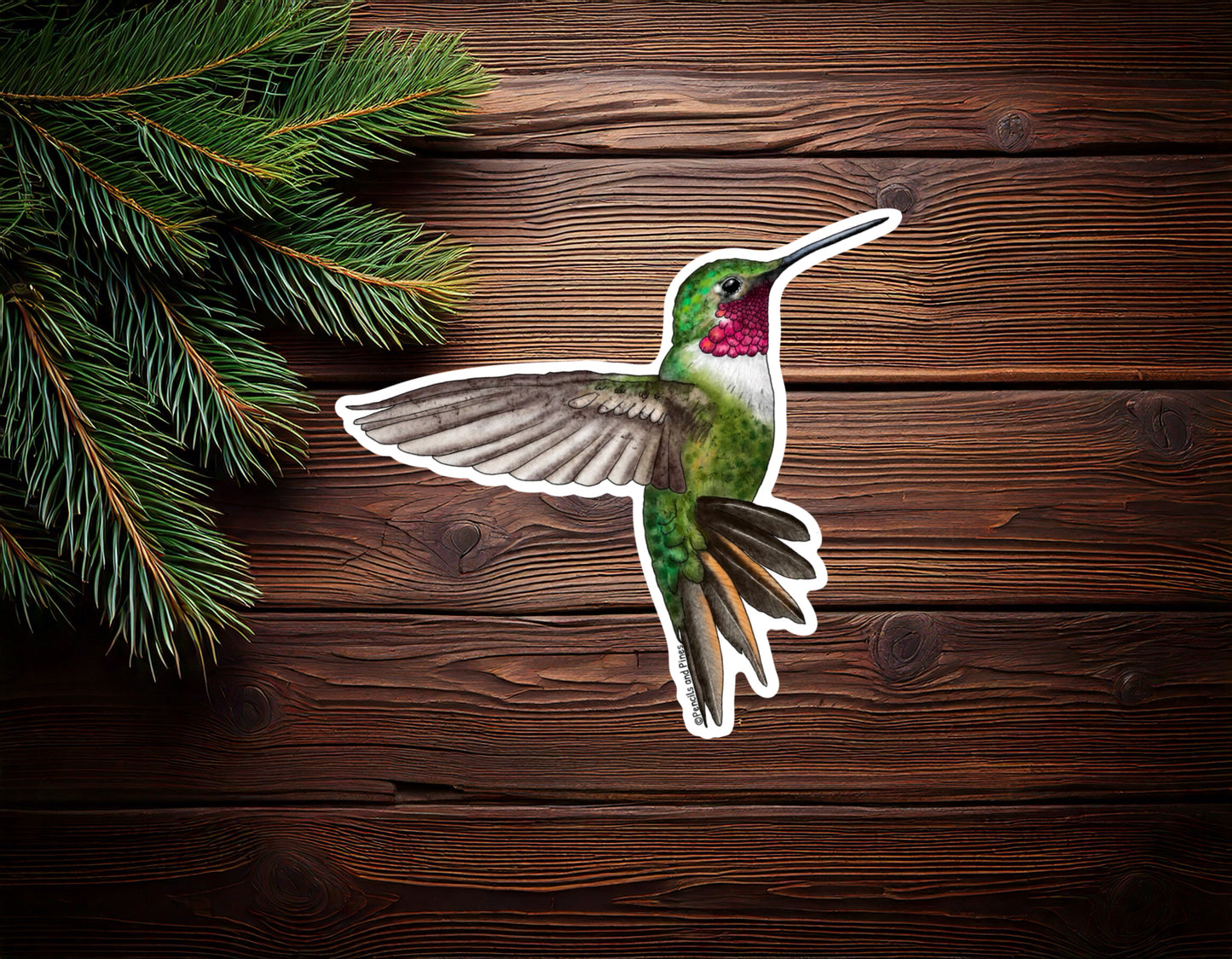 Broad-Tailed Hummingbird Sticker