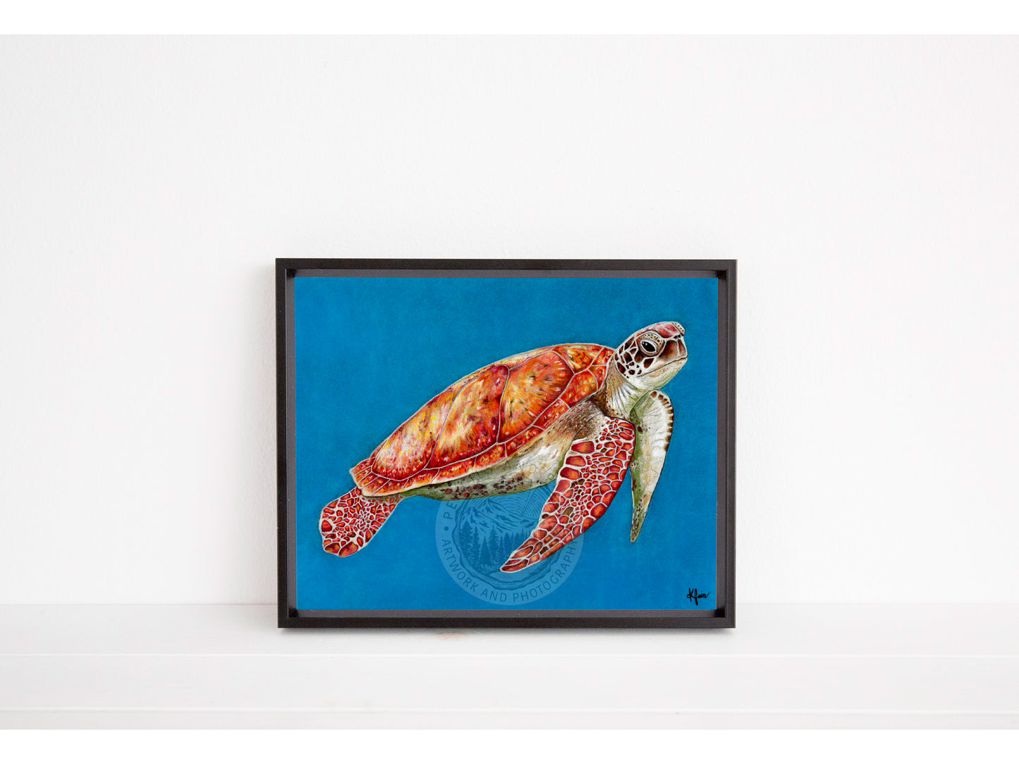 Sea Turtle Original