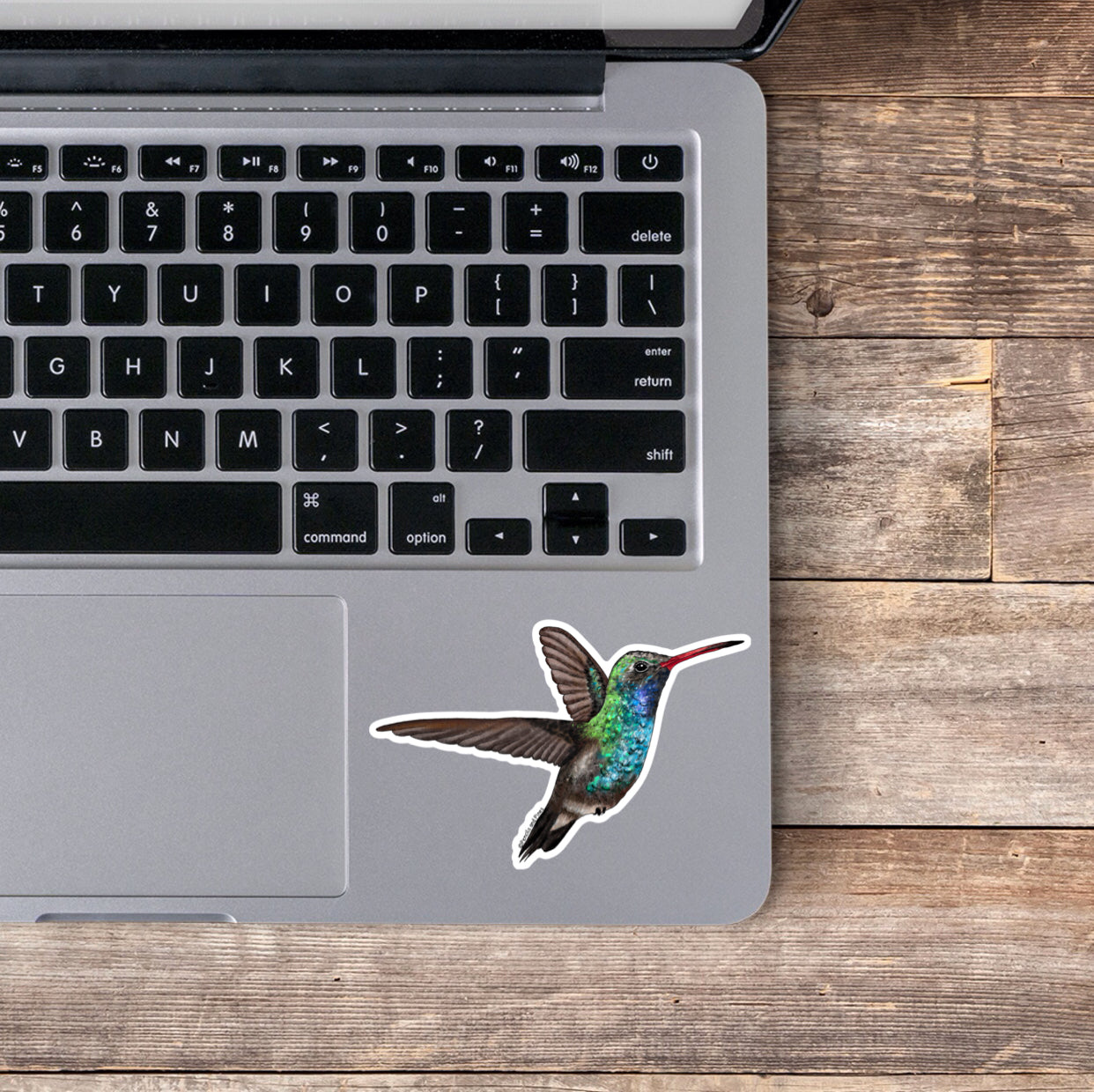 Broad-Billed Hummingbird Sticker
