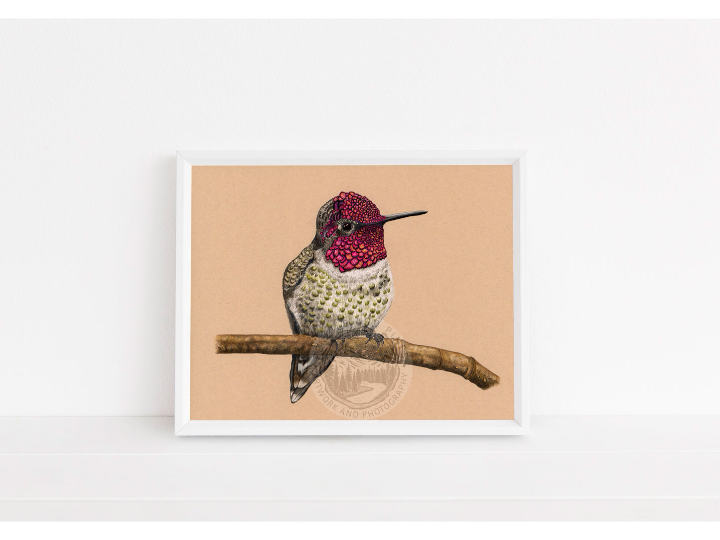 Anna’s Hummingbird Original