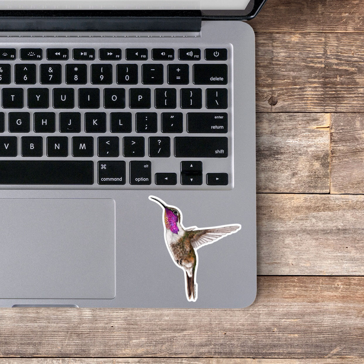 Lucifer Hummingbird Sticker