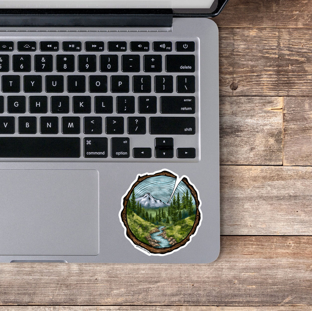 Tree Rings Sticker