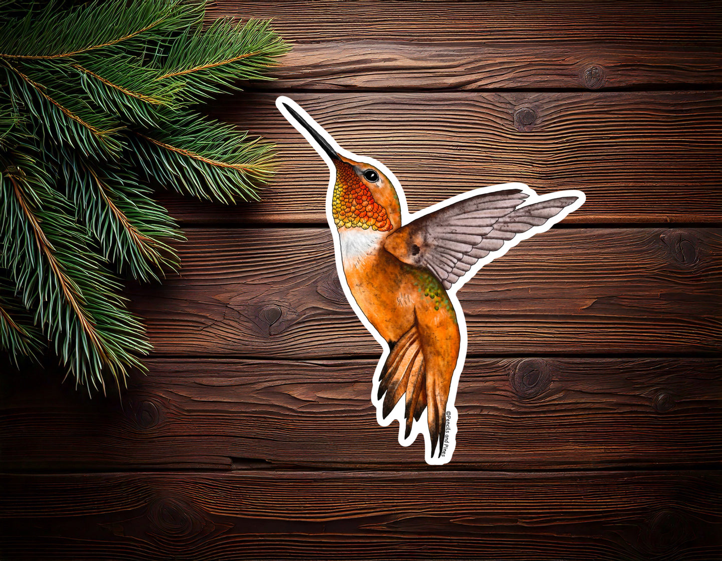 Rufous Hummingbird Sticker