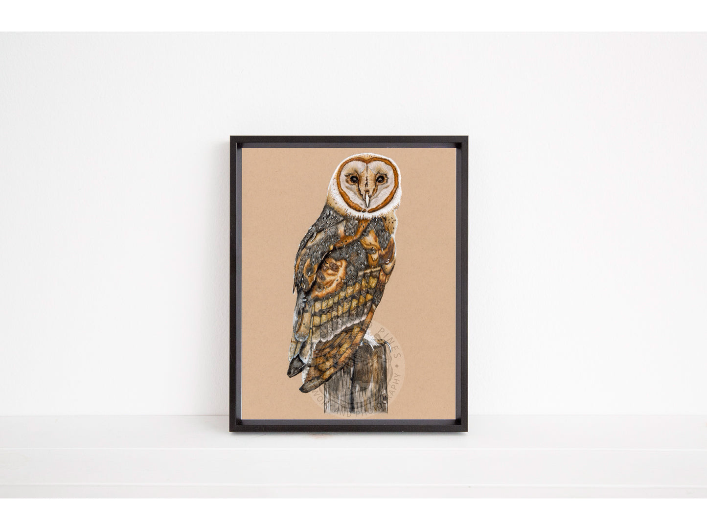 Barn Owl Original