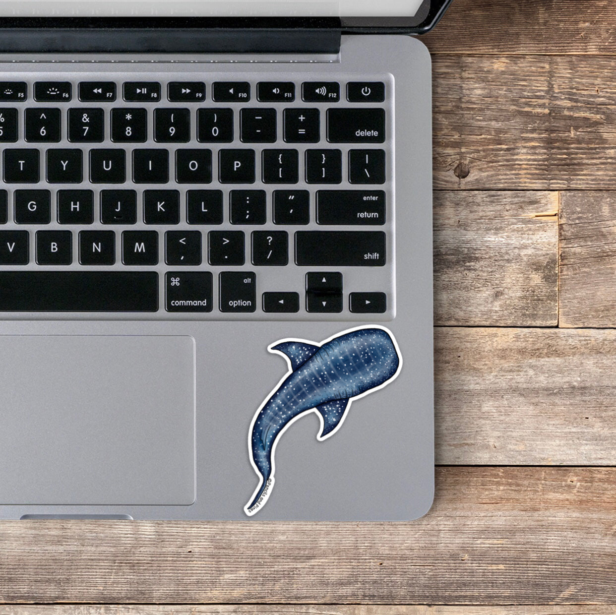 Whale Shark Sticker