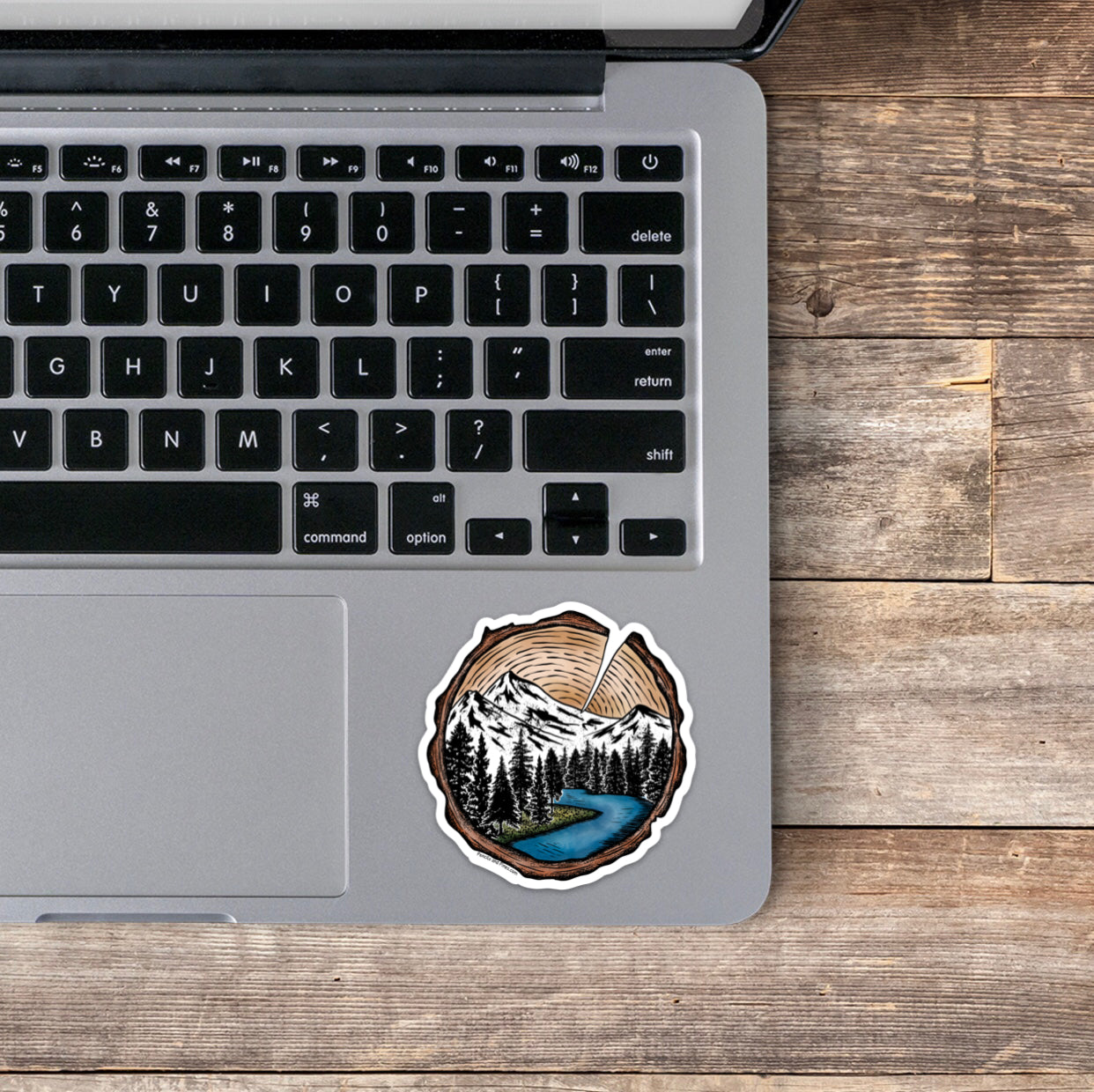 Tree Rings Sticker