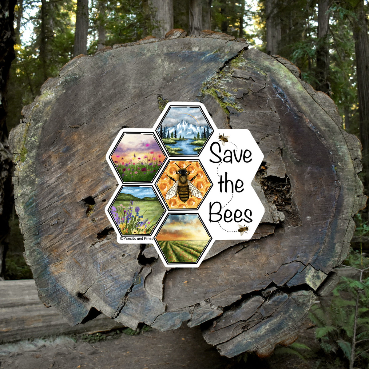 Save the Bees Honey Comb Sticker