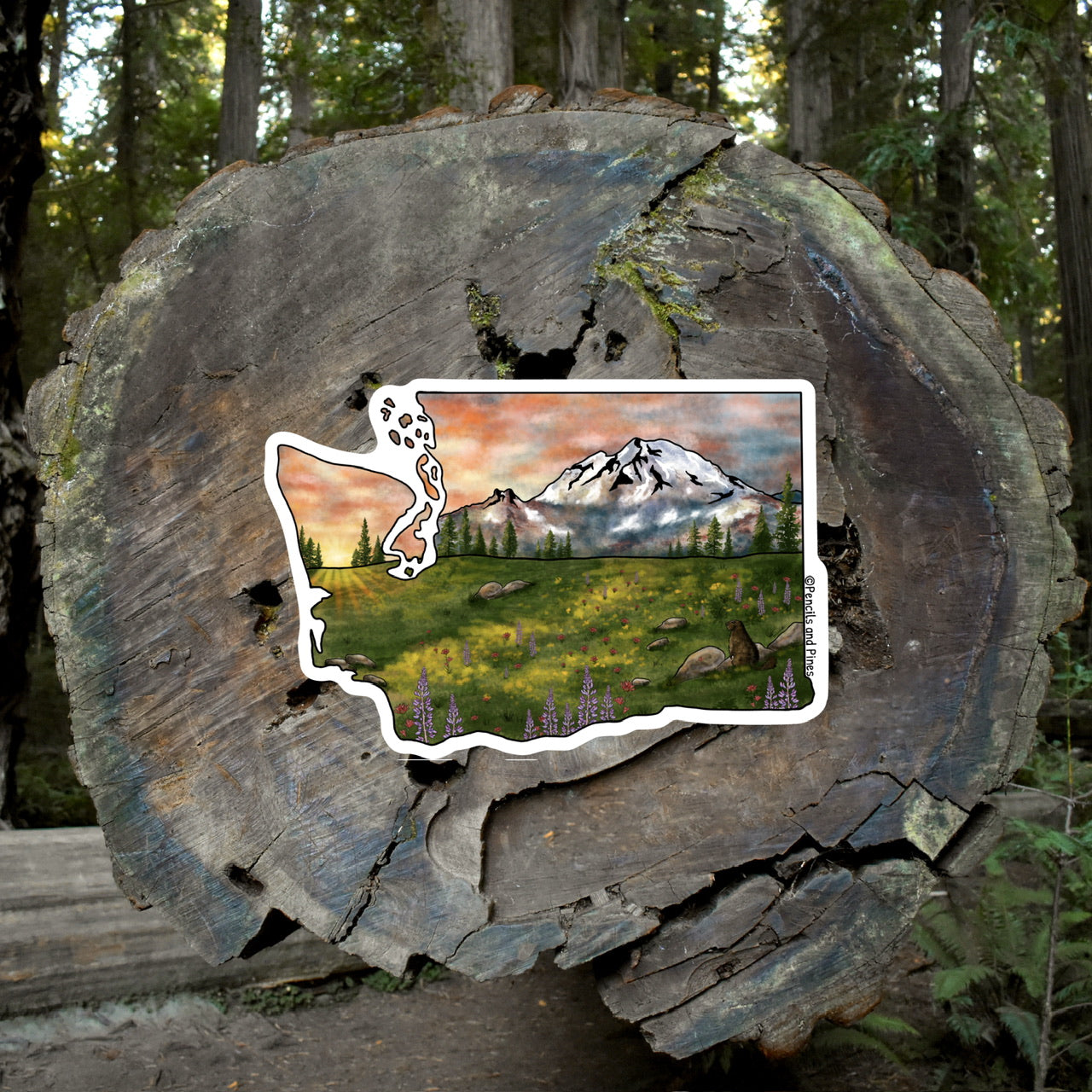 Mt. Rainier National Park Sticker