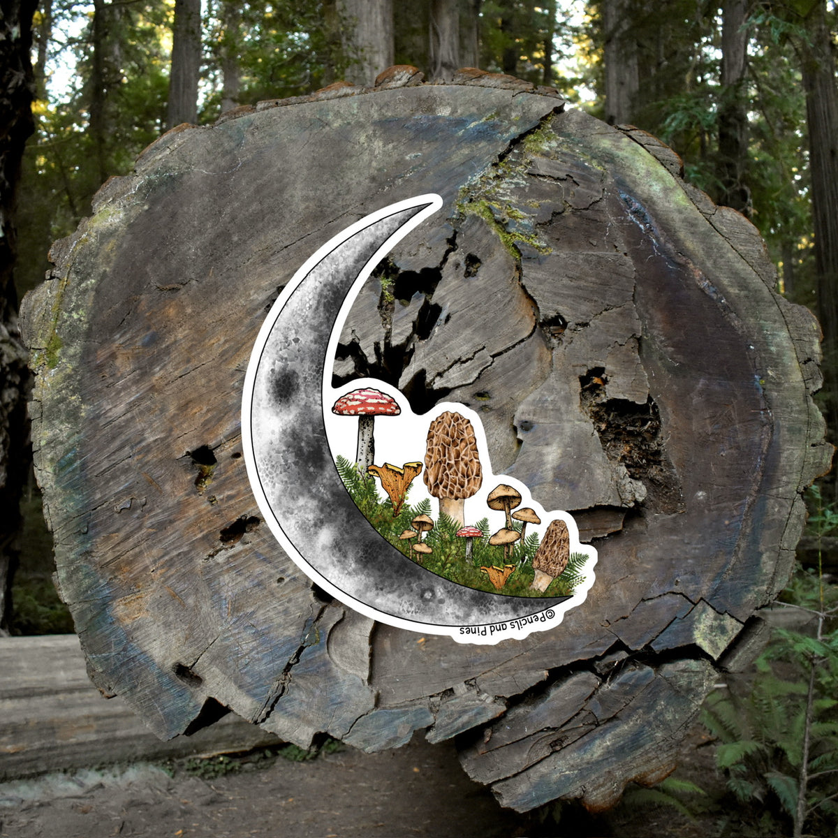 Mushroom Moon Sticker