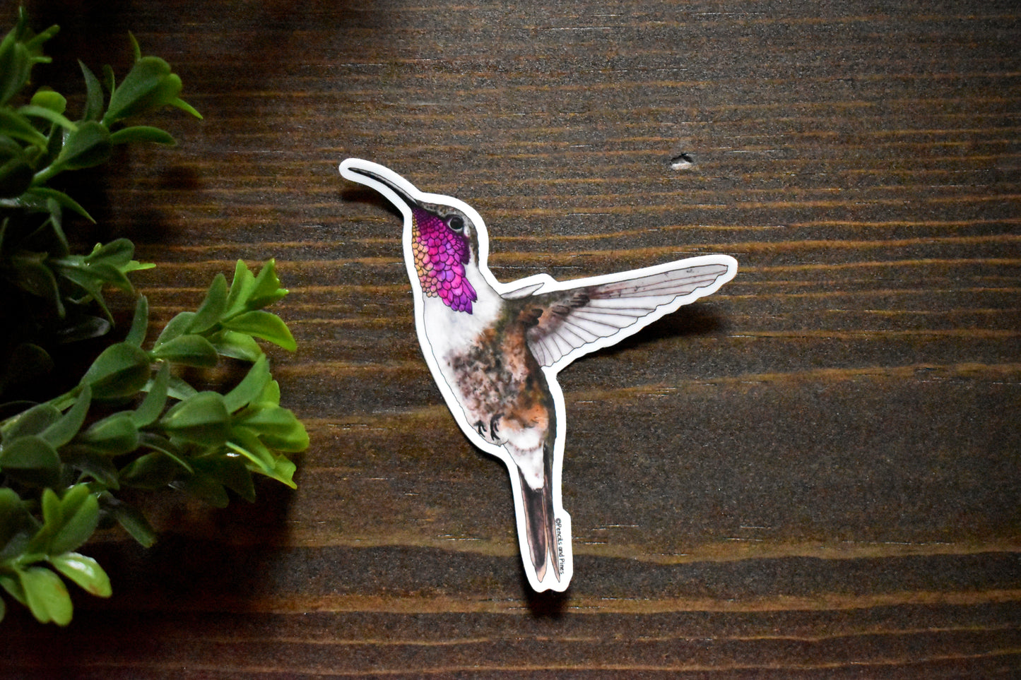 Lucifer Hummingbird Sticker