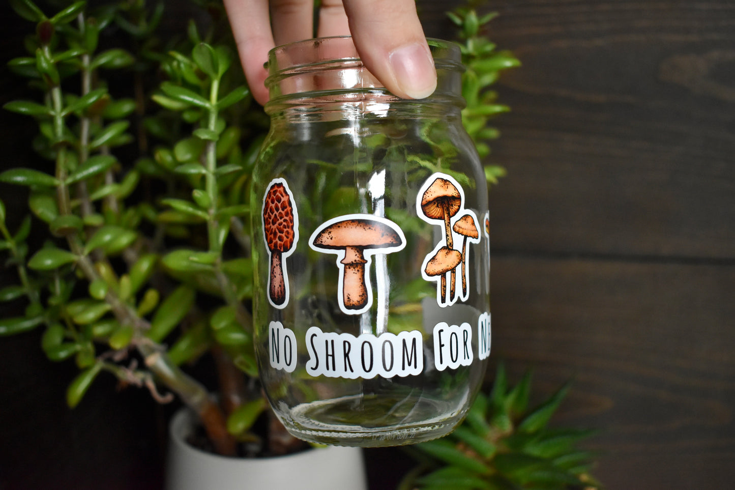 No Shroom For Negativity Mason Jar