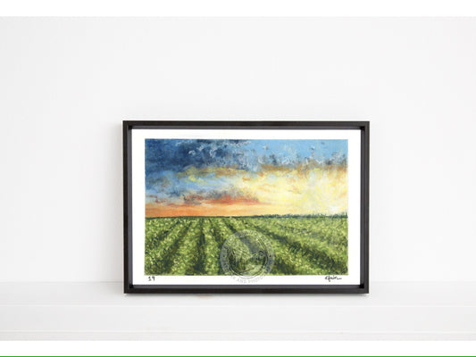 Landscape Postcard - 19