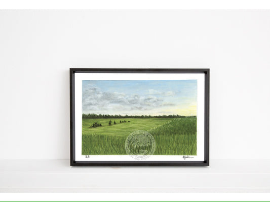 Landscape Postcard - 28