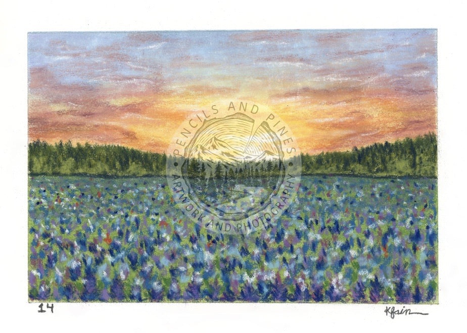 Landscape Postcard - 14