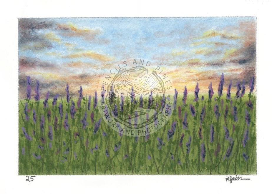 Landscape Postcard - 25