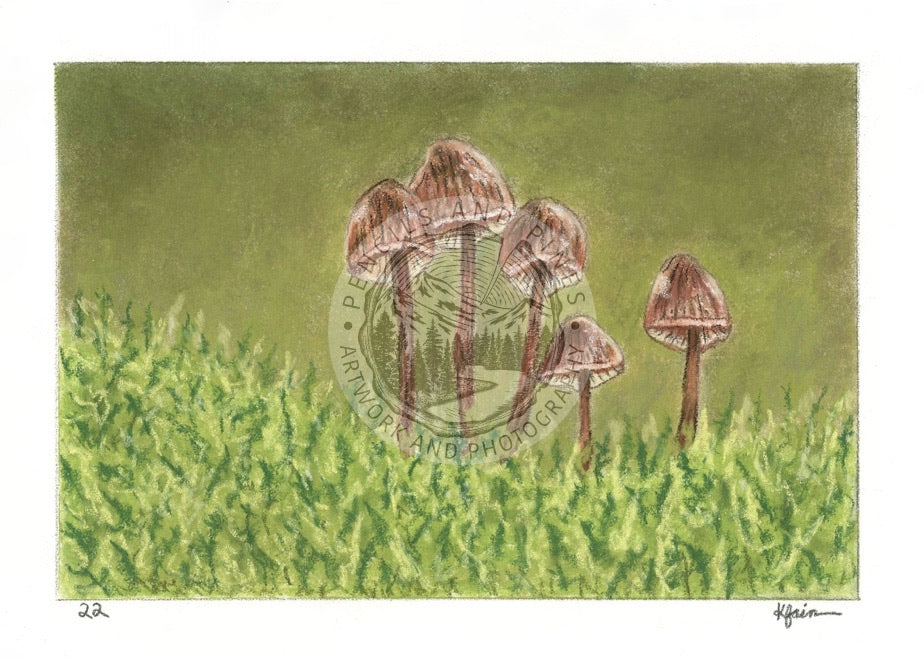 Landscape Postcard - 22