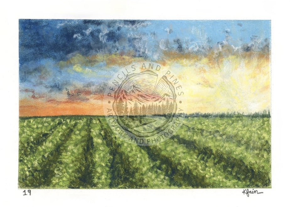 Landscape Postcard - 19