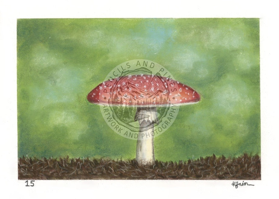 Landscape Postcard - 15