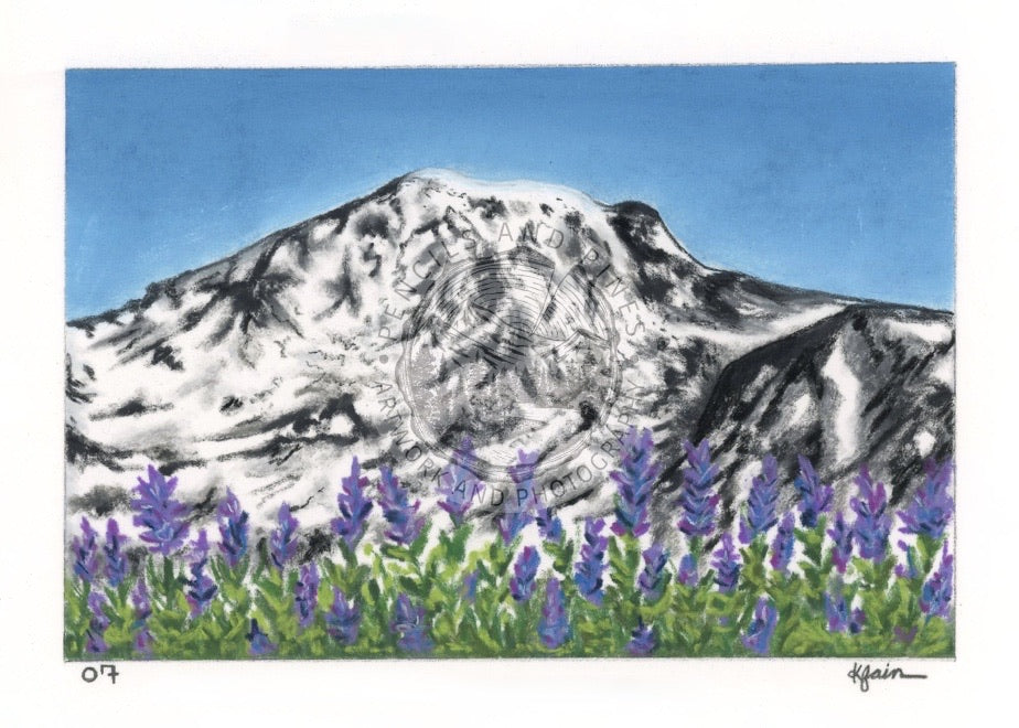 Landscape Postcard - 07