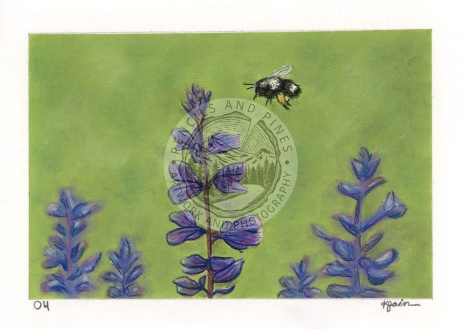 Landscape Postcard - 04