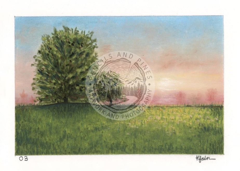 Landscape Postcard - 03