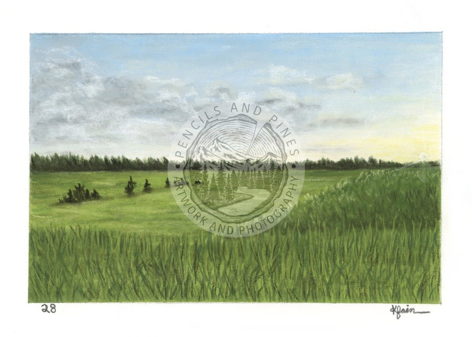 Landscape Postcard - 28