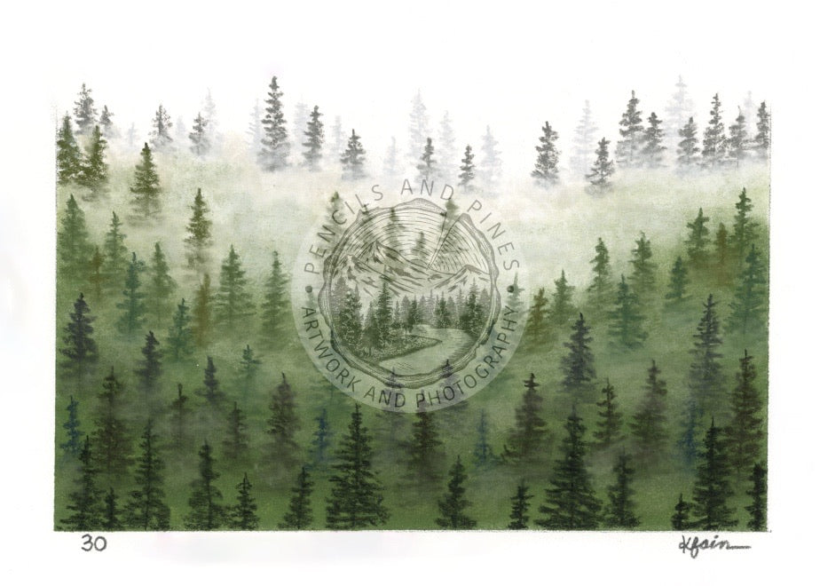 Landscape Postcard - 30