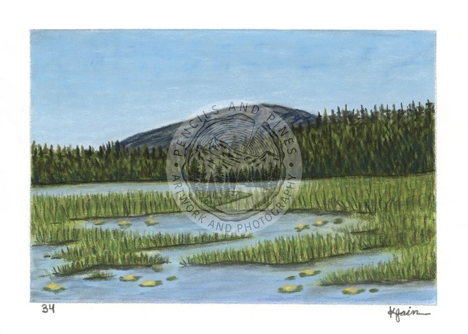 Landscape Postcard - 34