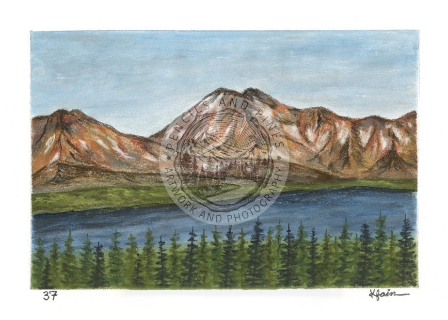 Landscape Postcard - 37