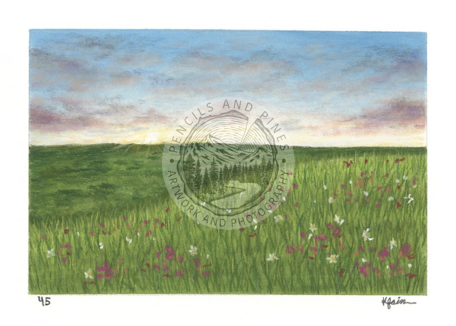Landscape Postcard - 45