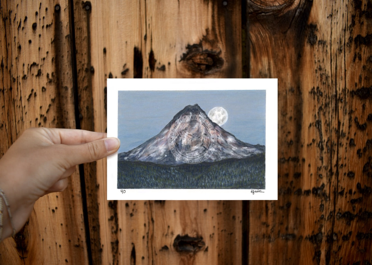 Landscape Postcard - 40