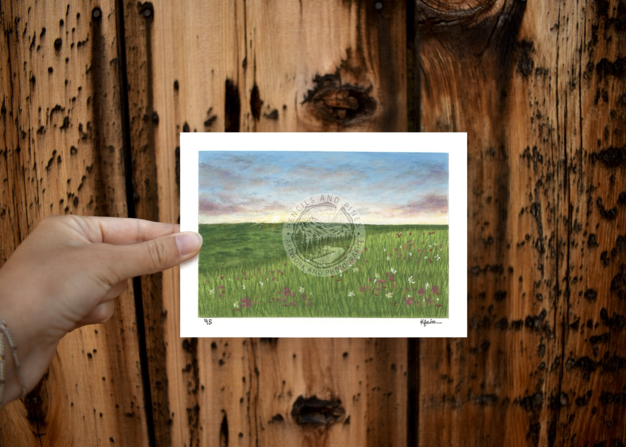 Landscape Postcard - 45