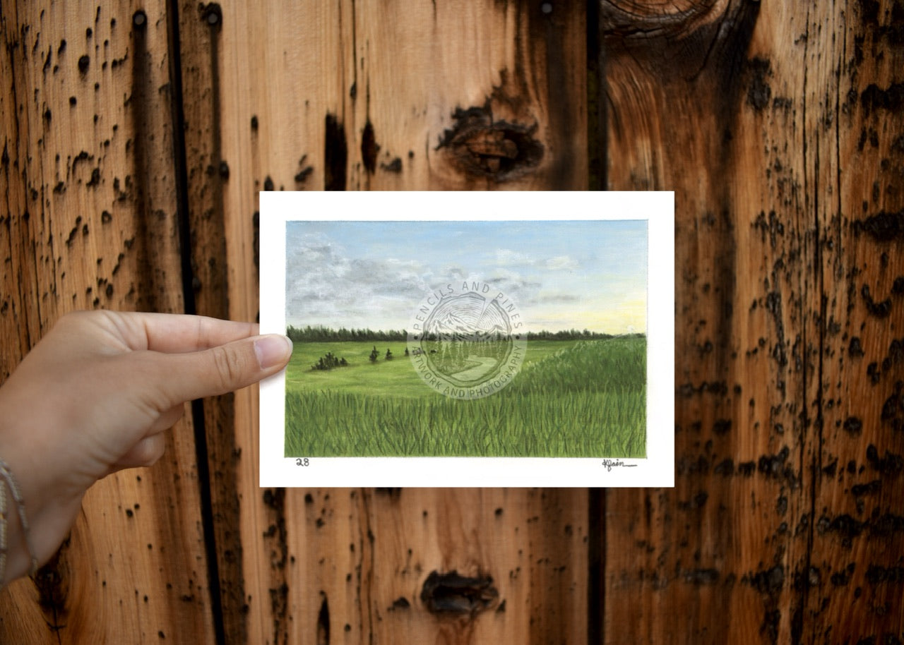 Landscape Postcard - 28