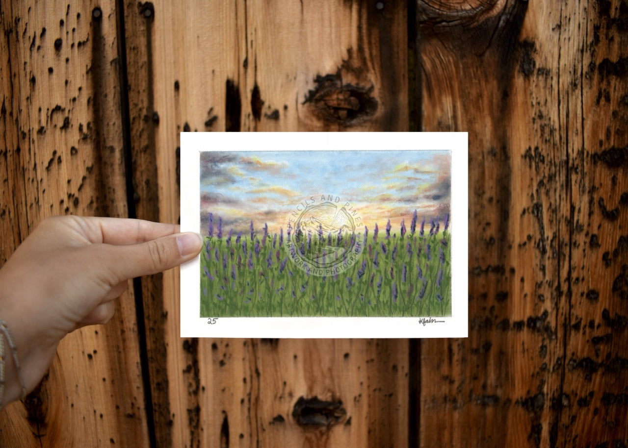 Landscape Postcard - 25