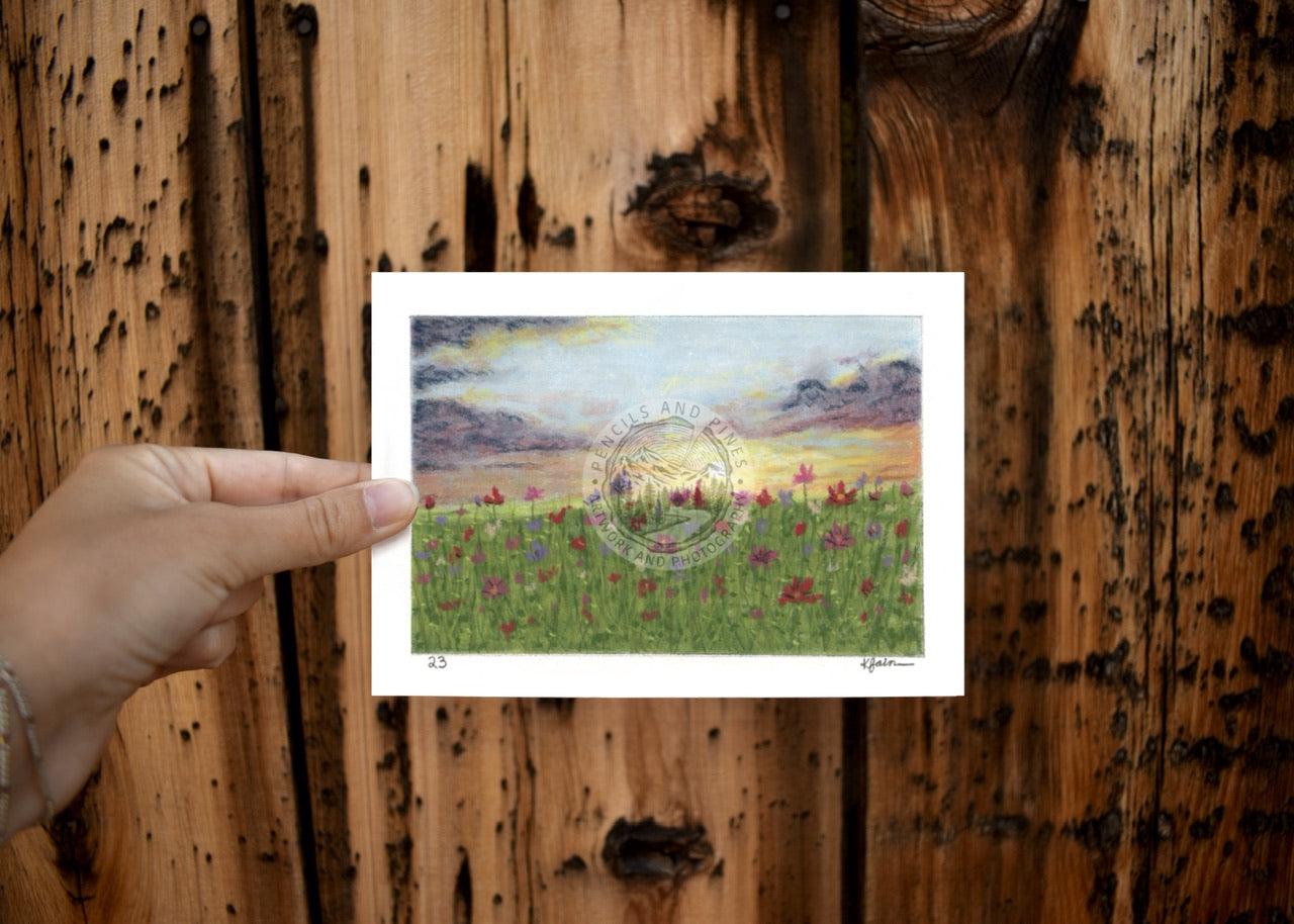 Landscape Postcard - 23